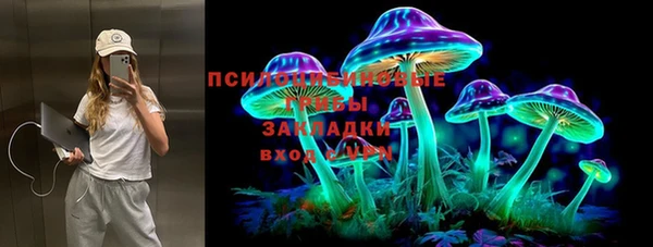 прущие крисы Дмитриев