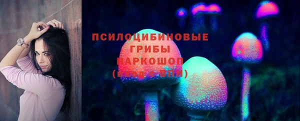 дживик Снежинск