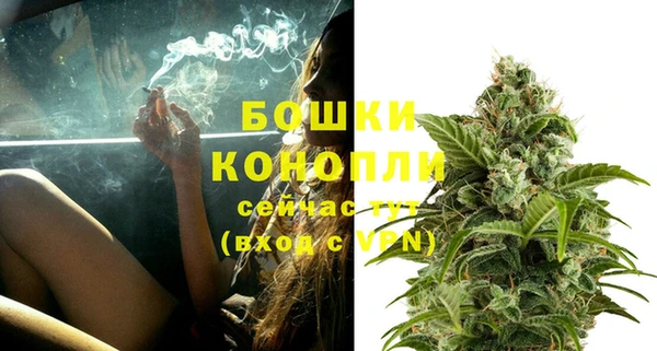 прущие крисы Дмитриев
