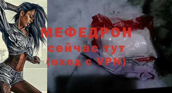 винт Ельня