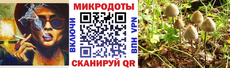 Галлюциногенные грибы Psilocybine cubensis Дедовск
