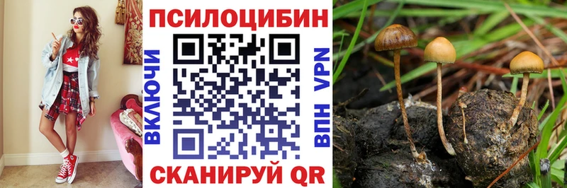 Галлюциногенные грибы MAGIC MUSHROOMS  Дедовск 